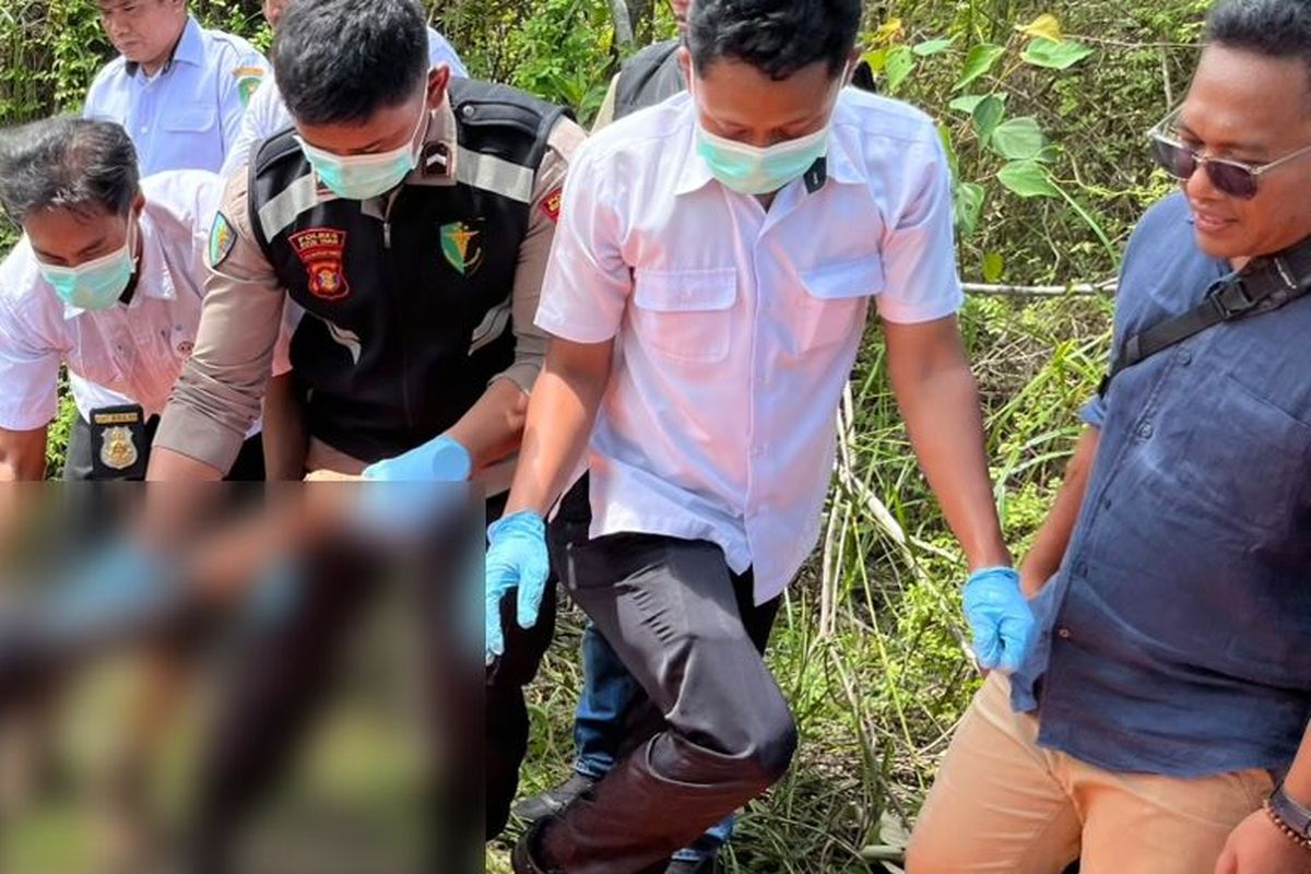 Bocah 7 Tahun yang Hilang di Kutai Timur Ditemukan Tewas di Semak-semak, Pelaku Sempat Minta Tebusan Rp200 Juta