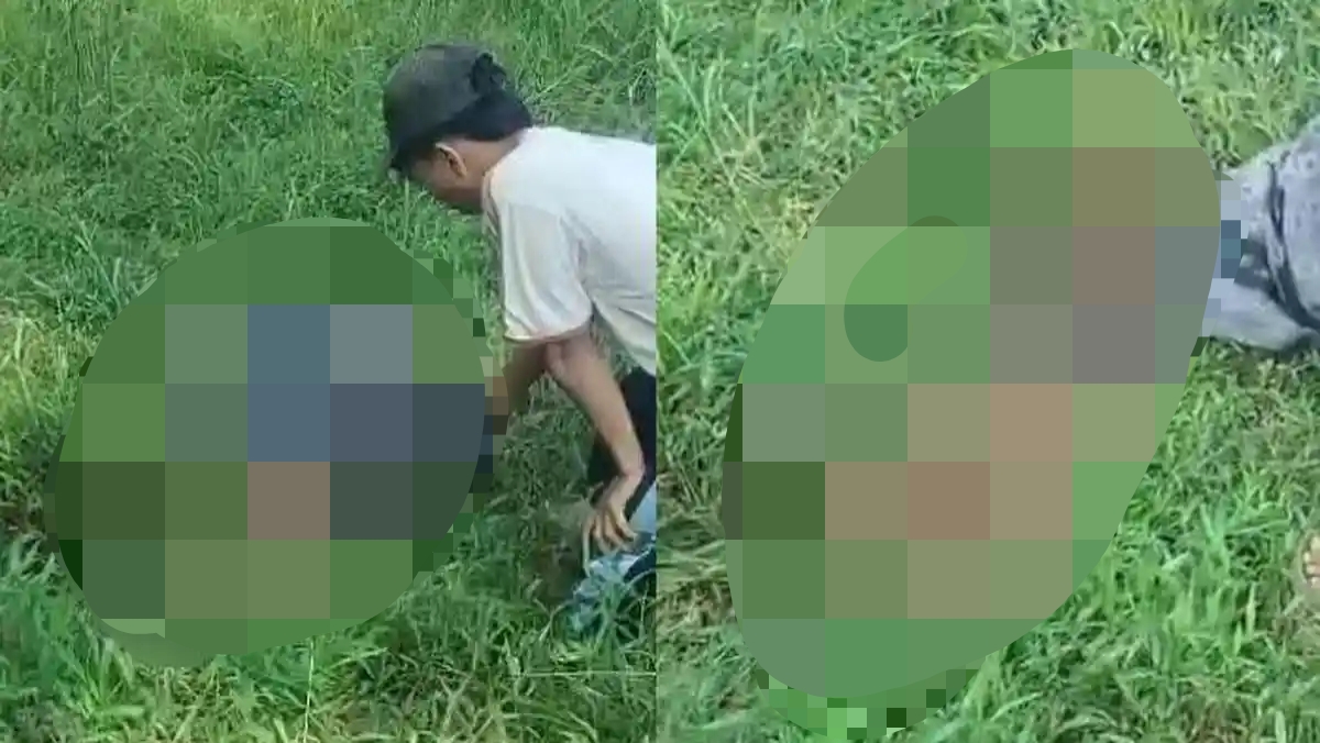 Bocah 9 Tahun Tewas Diserang Anjing di Jasinga Bogor