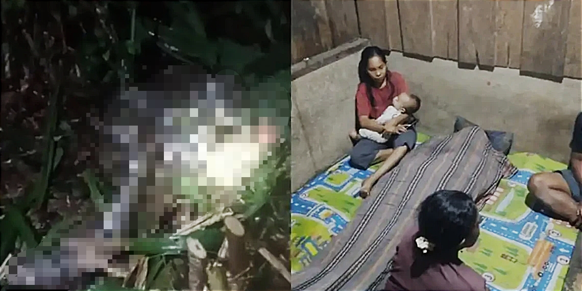 Wanita di Taliabu Ditemukan Tewas Ditelan Ular Piton di Perkebunan