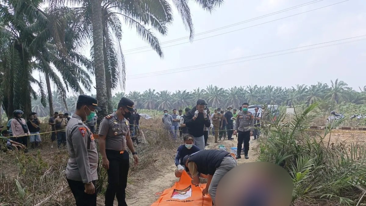 Penemuan Jasad Wanita Tergeletak di Kebun Sawit Mesuji